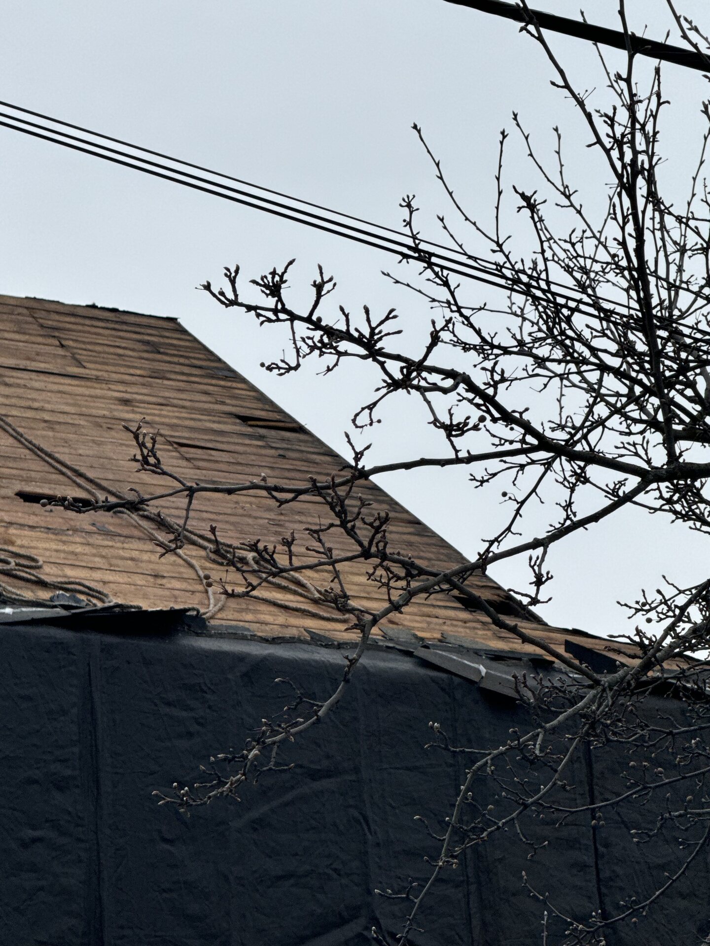 Close view of exposed roof decking protected by debris netting during replacement. Roofing work by Alba Pro Construction serving Tenafly, NJ.